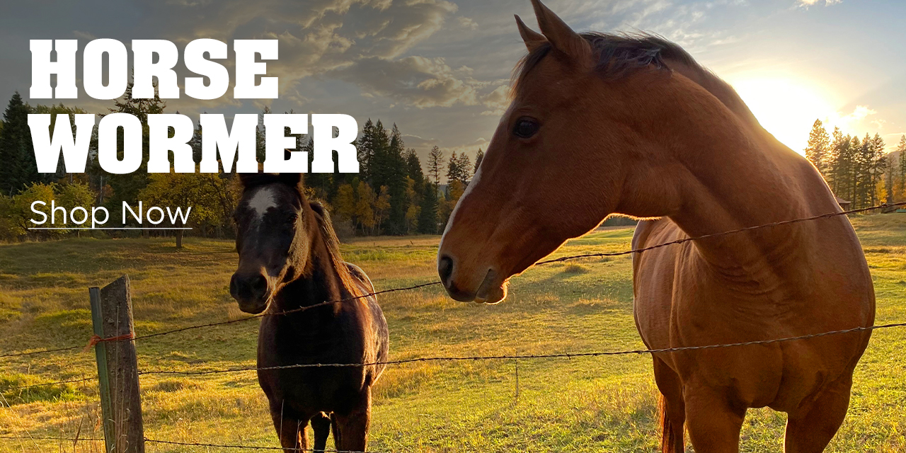 Horse Dewormer